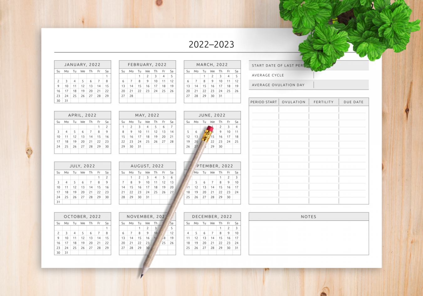 Download Printable Ovulation Calendar Template PDF