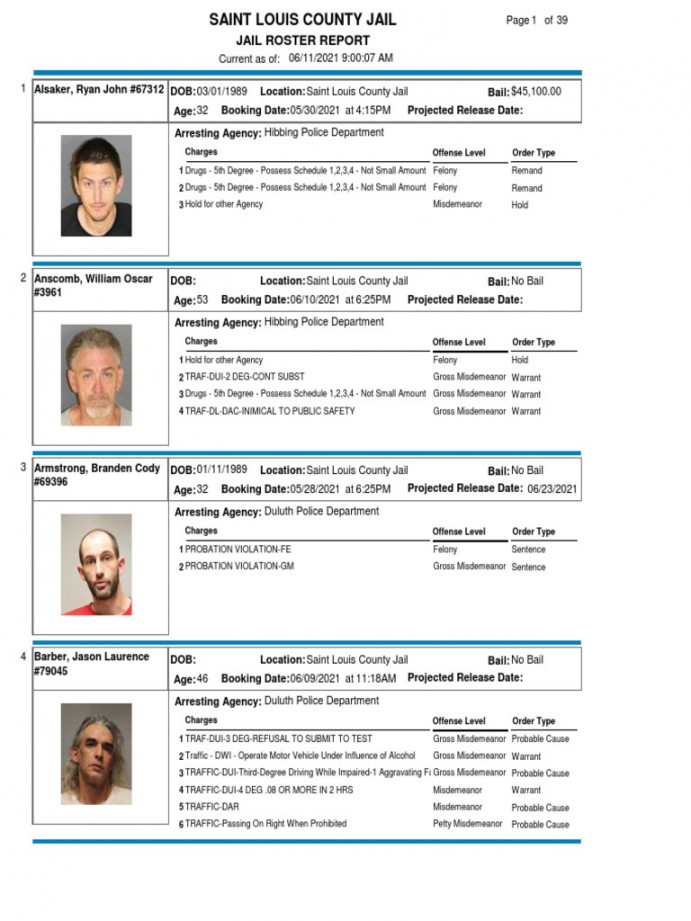 Jail Roster Report: Charges    Offense Level Order Type  PDF