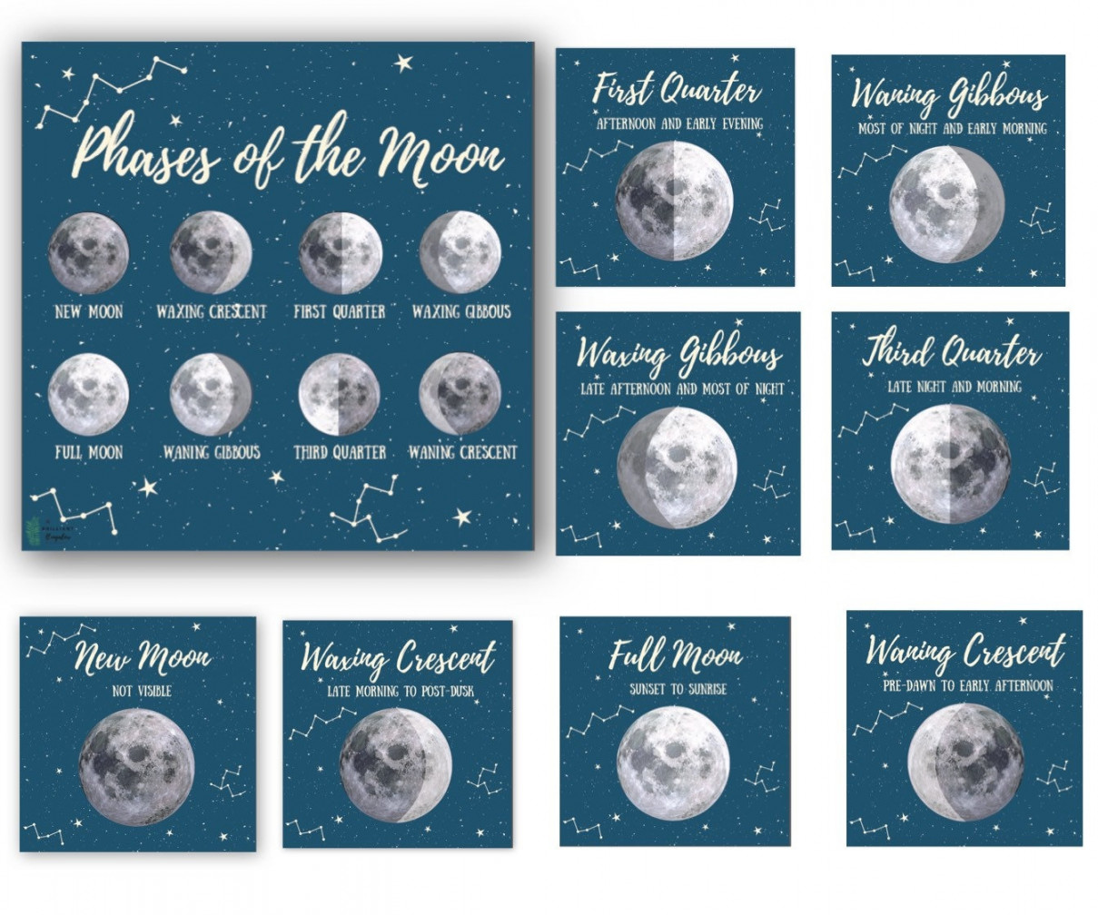 Moon Phase Cards Printable Moon Phase Cards Harvest Moon - Etsy