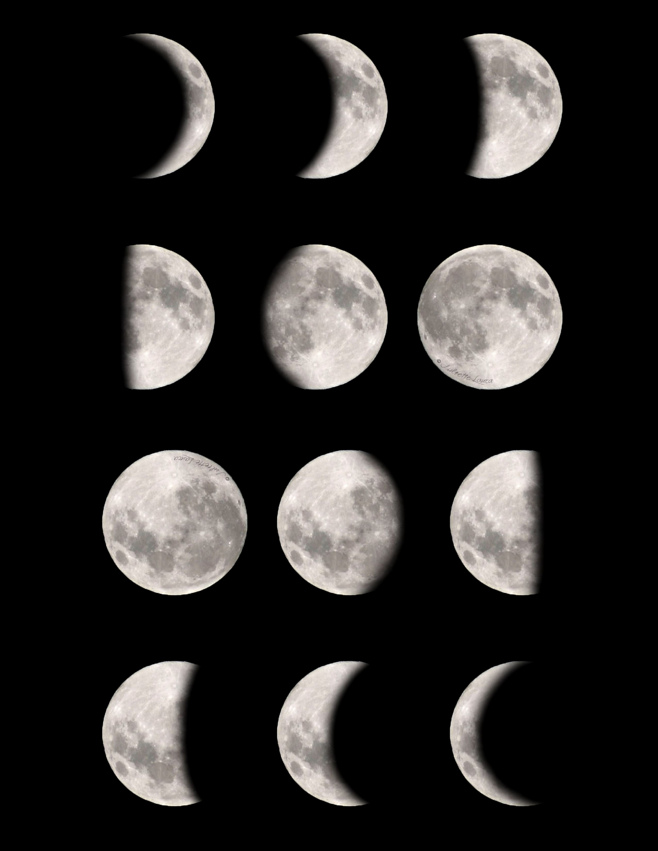Moon phases free, downloadable & printable!  Moon wall art, Moon
