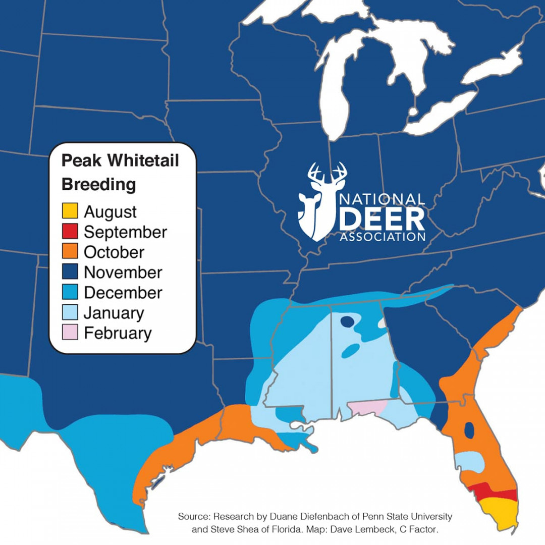 The Southern Whitetail Rut Map is Crazy. Here