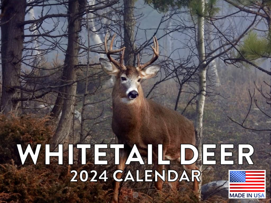 Whitetail Deer Calendar  Wall Calander Monthly