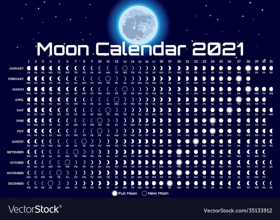 Lunar calendar with moon and stars template Vector Image