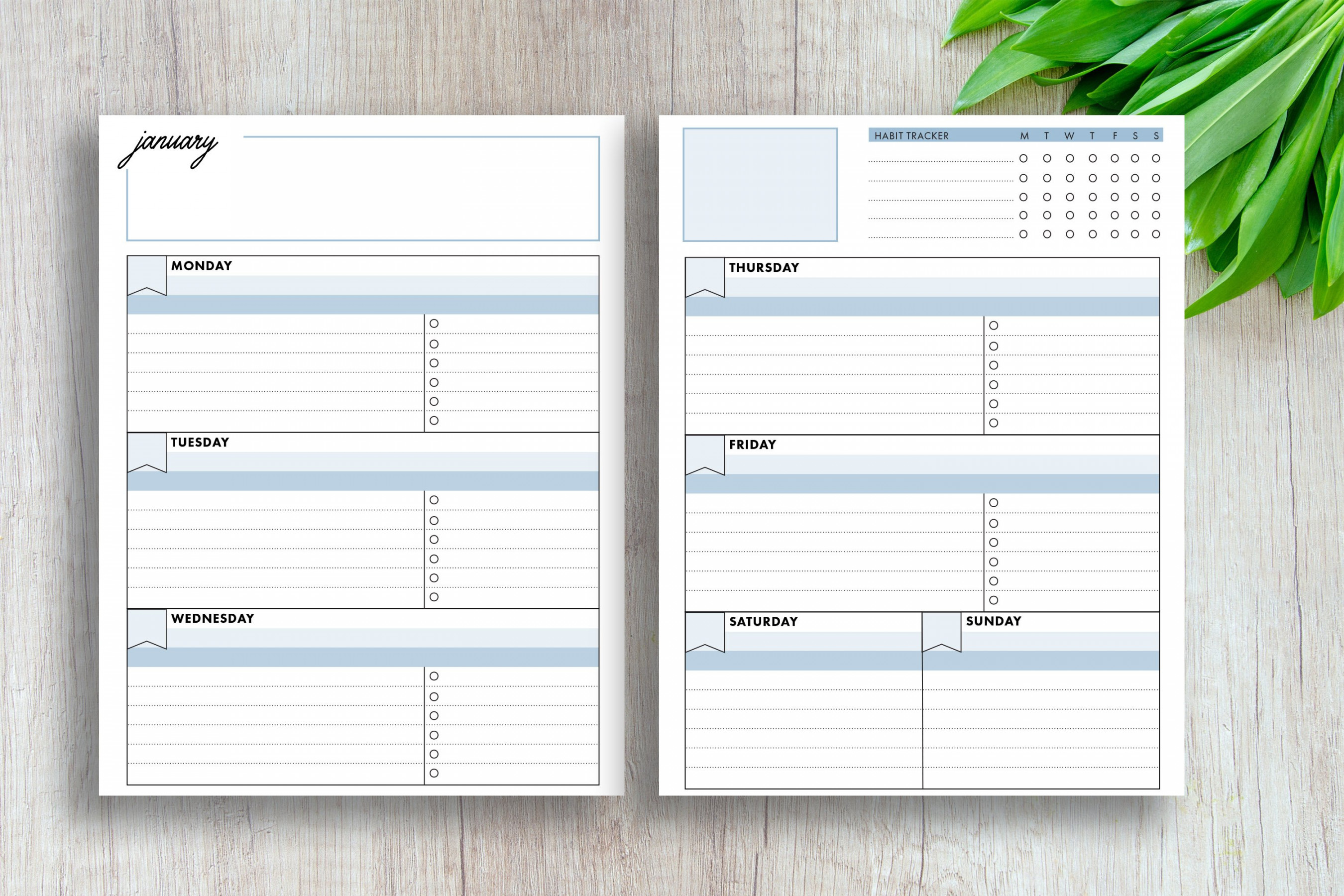 Printable Undated Weekly Calendar Horizontal  Page Planner