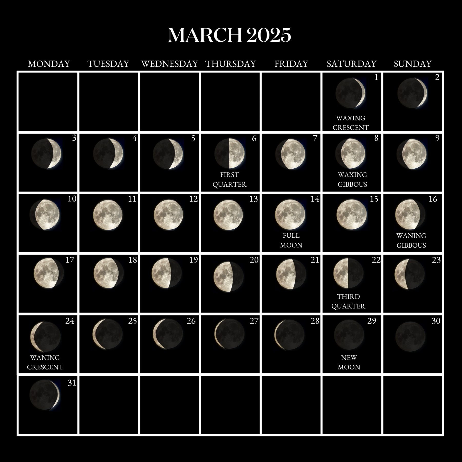 Moon Calendar - every phase and stage of the moon