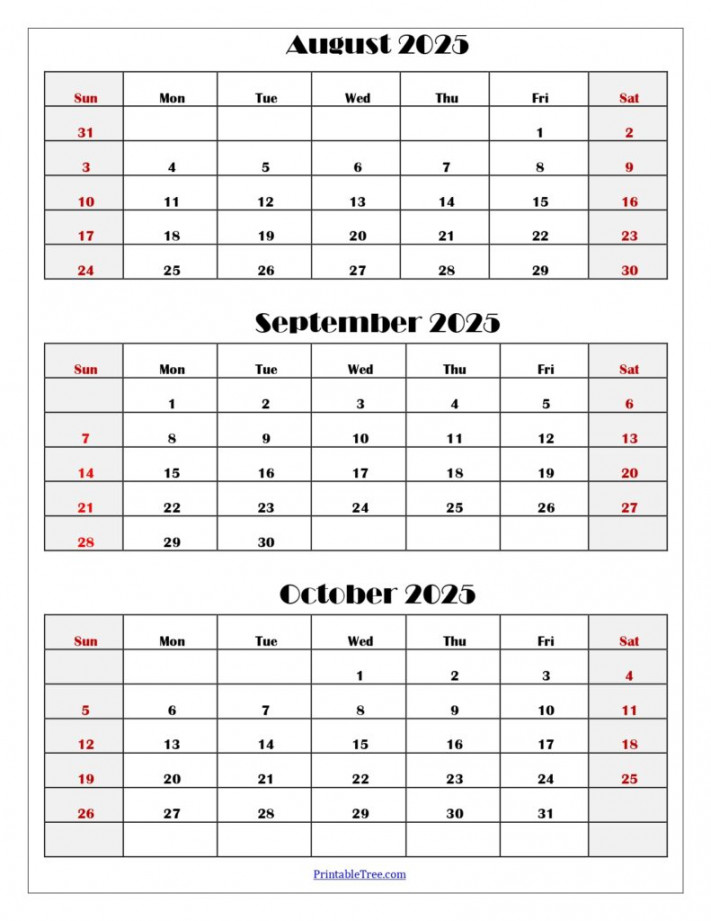 August to October  Calendar Printable PDF  Three Months Calendar