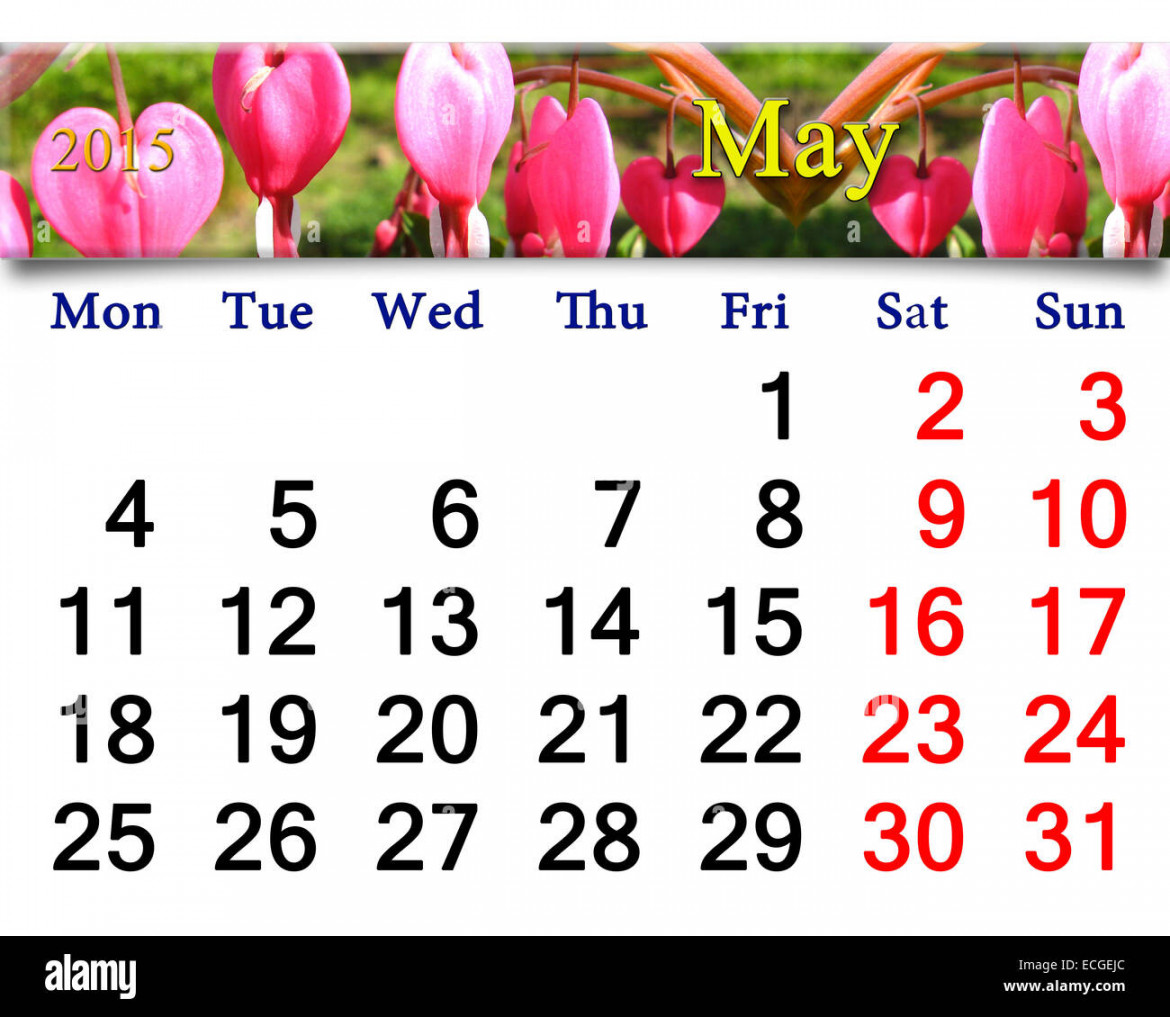 calendar for May of  year with fragment of blooming dicentra